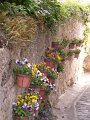 2011_SO & Centre-6-St Emilion_61